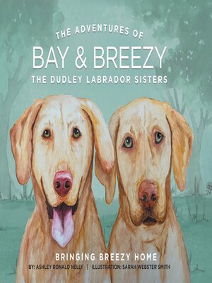 cover image of The Adventures of Bay & Breezy